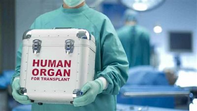 تبرع بالأعضاء ينقذ 6 أشخاص.. جدل كبير ومفتي السعودية الأسبق يحسم الأمر