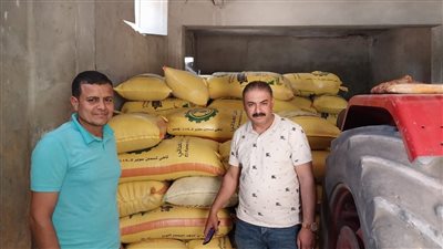 ضبط 342 طن قمح مجمع بدون  تصريح فى الدقهلية