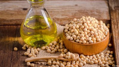 أسعار زيت الطعام صباح اليوم الثلاثاء