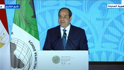 السيسي: حرب أوكرانيا عطلت سلاسل الإمداد والتوريد عالميًا