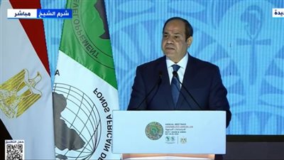 السيسي: على مؤسسات التمويل النظر في شروط الحصول على قروض ميسرة