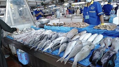 أسعار الاسماك اليوم الثلاثاء بسوق العبور للجملة