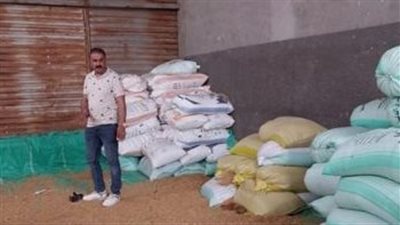 حصاد القمح أهم أولويات الدولة لتحقيق الإكتفاء الذاتي 