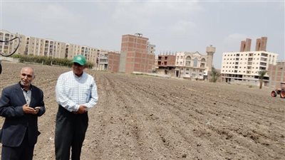 الميكنة في القطن تخفض التكاليف وتوفر الجهد والوقت 