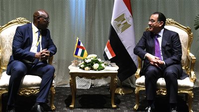 مدبولي يلتقى رئيس وزراء أفريقيا الوسطى