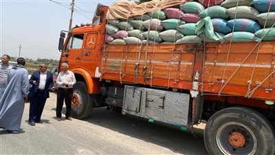 المنيا: ضبط 4 سيارات محملة بـ 83 طن قمح بهدف الإحتكار  