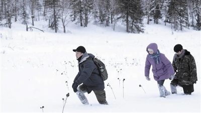 حنان أبوالضياء تكتب عن: الواقعية السحرية فى أفلام مهرجان كان