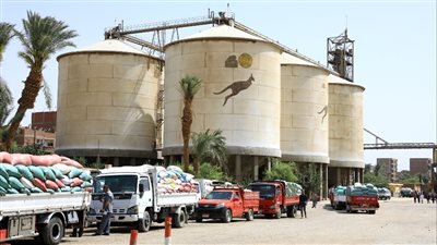 توريد 59 ألف و901 طن قمح محلي من المزارعين لشون وصوامع سوهاج