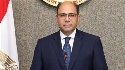  بيان إثيوبيا بشأن السد محاولة للوقيعة بين الدول العربية والأفريقية (فيديو)