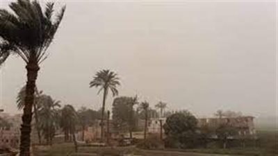 رياح وأمطار.. طقس الـ 72 ساعة المقبلة
