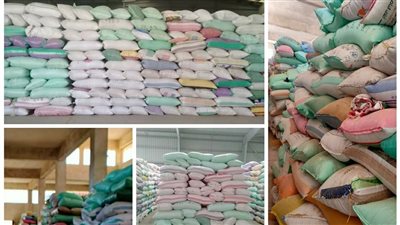 توريد 9000 طن قمح لشون وصوامع البحيرة 