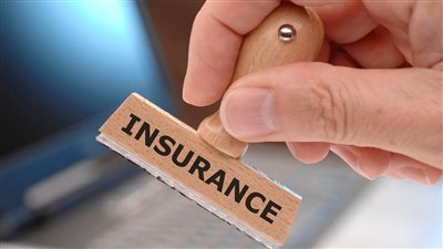  تأمين اجتماعي ومعاش شهري.. خدمات مقدمة للمصريين بالخارج من هيئة التأمينات