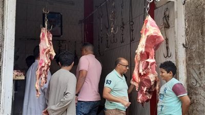  ضبط لحوم ودواجن فاسدة بمحافظة المنيا