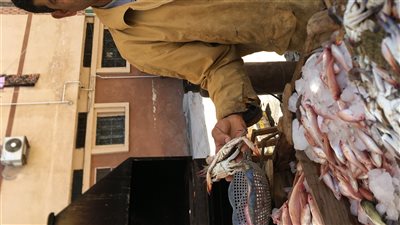 مع بداية موسم الصيف.. إرتفاع أسعار الأسماك 40% بدمياط 