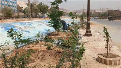 استمرار حملات التشجير والنظافة بمسار رحلة العائلة المقدسة بأسيوط 