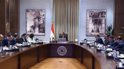 رئيس الوزراء يلتقي عددًا من المصريين بالخارج لتأسيس شركة 