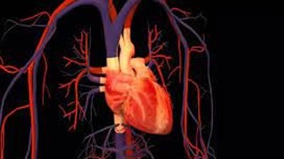 نجاح أول عملية زرع بديل للصمام الأبهري للقلب