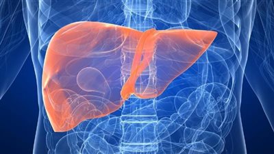 3 تغييرات في الجلد دليل على إصابتك بـ الكبد الدهني 