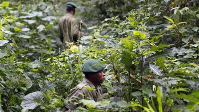 الجماعات المسلحة في الكونغو الديقراطي تحصد أرواح الأبرياء