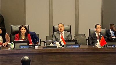 استراتيجية بنك التنمية الجديد تتسق مع رؤية 