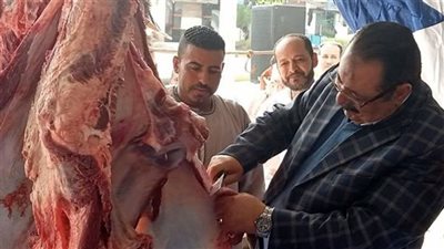 الزراعة تفرج عن أعلاف بملايين الدولارات واللحوم في طريقها للانخفاض