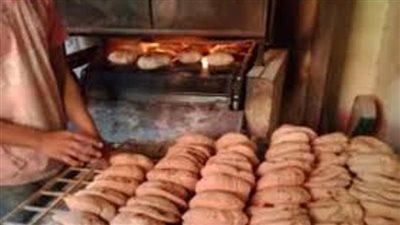 تحرير 204 محاضر تموينية بالمنوفية