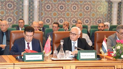 استعراض التجربة المصرية في دمج التحول الرقمي بالتعليم