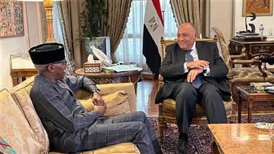  وزير الخارجية يستقبل مفوض الشئون السياسية والسلم والأمن بالاتحاد الأفريقي