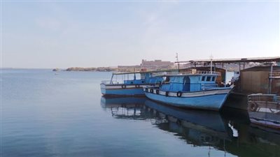 وقف الصيد فى البحر الأحمر ومنع تداول الأسماك بالمطاعم والمحلات التجارية