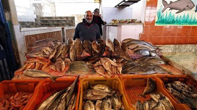  أسعار السمك صباح اليوم الخميس بسوق العبور.. تراجع البوري والبلطي