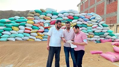 ضبط 107 أطنان قمح محلي داخل نقاط تجميع غير رسمية بالبحيرة
