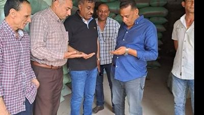 ضبط 50 طن قمح  داخل إحدى المخازن الخاصة بالدلنجات 