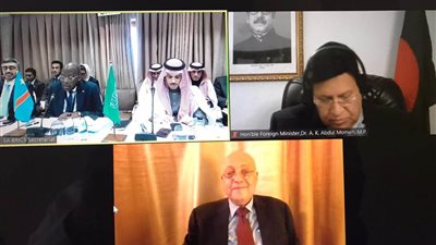 شكري يشارك في اجتماع أصدقاء تجمع بريكس الوزاري