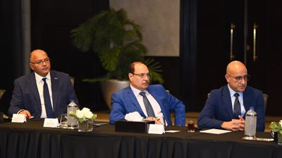 إطلاق صندوق استثماري تابع لشركة المصريين بالخارج لاستقطاب كبار المستثمرين بمختلف المجالات