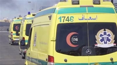 نهاية حياة عامل شركة الحديد والصلب بالتبين .. القصة كاملة
