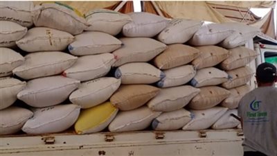 توريد 240 ألفًا و86 طن قمح في كفرالشيخ
