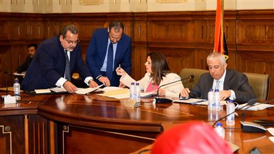 10 خدمات تعمل وزارة الهجرة على تنفيذها  للمصريين في الخارج .. قاعدة البيانات أبرزها