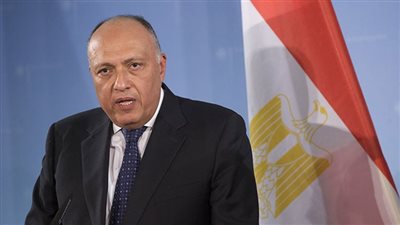 وزير الخارجية: الدول الإفريقية طرحت رؤيتها لحل الأزمة 