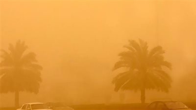 رياح محملة بالأتربة والرمال نهاية الأسبوع الجاري| فيديو 