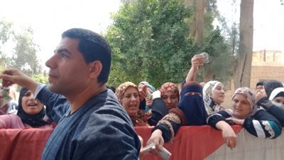 مبادرة لبيع اللحوم بأسعار مخفضة بالقليوبية