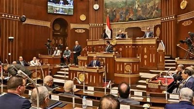 تعليم الشيوخ تناقش اقتراح بشأن دراسة أوضاع الهيئة المعاونة بالجامعات المصرية
