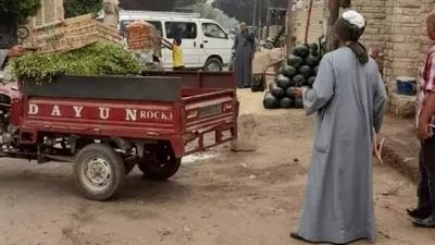 رفع ٢٠ طن قمامة خلال حملة نظافة مكبرة في نجع حمادي