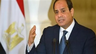 10 سلع تجارية بين مصر وموريتانيا بـ42.9 مليون دولار