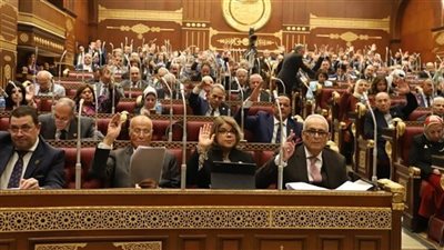 أبو شقة يطالب النواب بتقديم حلول ومقترحات لعلاج الأزمة الاقتصادية