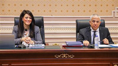 التعاون الدولي تنفذ 169 مشروعًا بمنح تنموية 3.4 مليار دولار