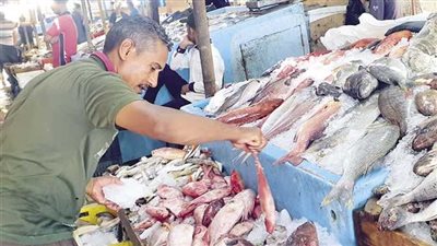 أسعار الأسماك اليوم الإثنين بسوق العبور للجملة