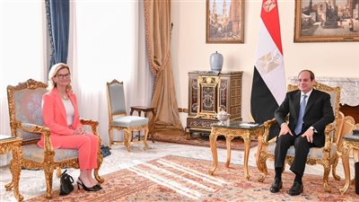 مصر حريصة على تعزيز التعاون مع الاتحاد الدولي للاتصالات