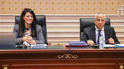 المشاط: الاستراتيجيات المُتعددة مع شركاء التنمية تتسم بالتكامل والتناغم