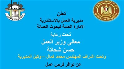فرص عمل للشباب بالإسكندرية (التفاصيل)