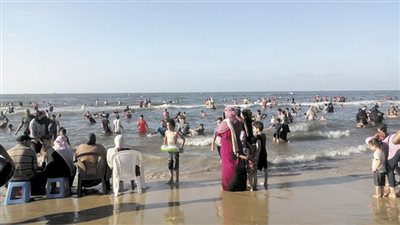 «ناموس جمصة» يطارد المصطافين.. ومجلس المدينة يتفرج